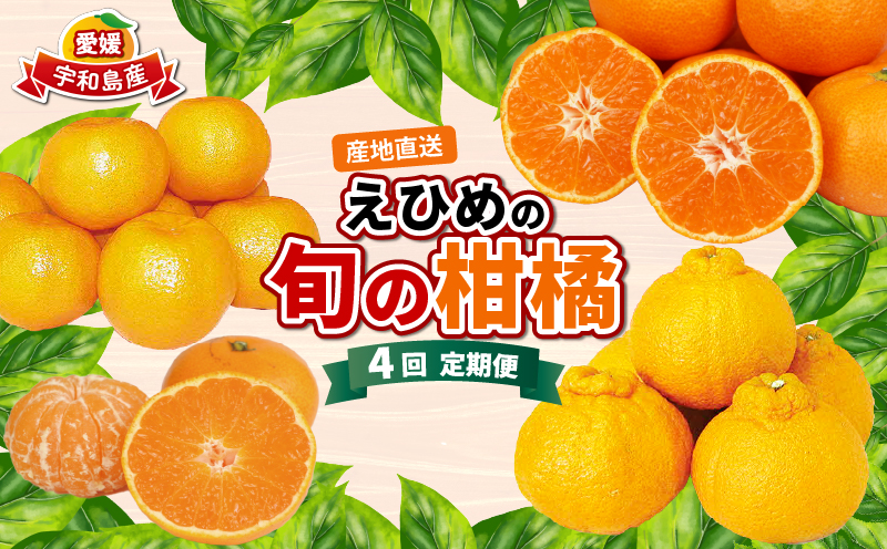 愛媛みかん えひめの旬の柑橘 産地直送 4回 定期便 えひめ南農業協同組合直販センター JA 早生温州 南柑20号 ポンカン 約10kg デコポン 約5kg 蜜柑 みかん mikan 果物 くだもの フルーツ 柑橘 愛媛蜜柑 農家直送 産地直送 数量限定 国産 愛媛 宇和島 B080-009011