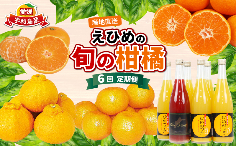 愛媛みかん えひめの旬の柑橘 産地直送 6回 定期便 えひめ南農業協同組合直販センター JA 早生温州 南柑20号 ポンカン 約10kg デコポン 約5kg 河内晩柑 約8kg ひめのつき ブラッドオレンジ ジュース セット 6本 蜜柑 みかん mikan 果物 くだもの フルーツ 柑橘 愛媛蜜柑 農家直送 産地直送 数量限定 国産 愛媛 宇和島 B120-009012