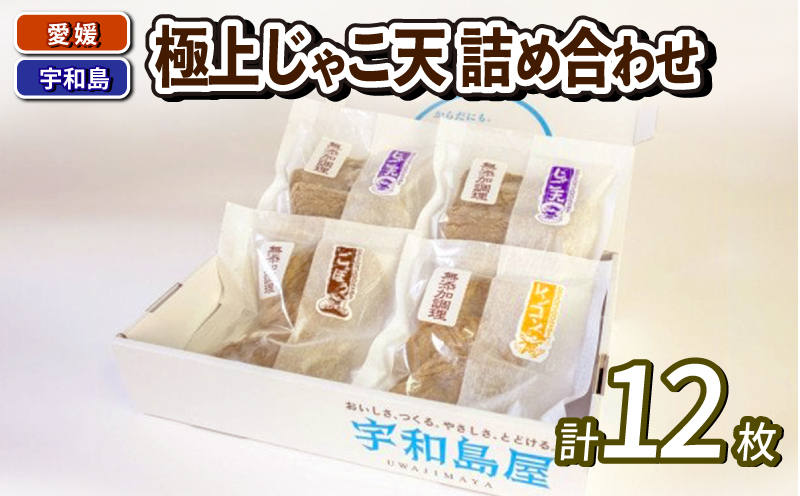 じゃこ天 セット 極上 じゃこ天 詰め合わせ 宇和島屋 ごぼう天  れんこん天  ゴボウ ごぼ天 レンコン 蓮根 すり身 練り物 冷蔵 惣菜 フライ おでん 煮物 アレンジ 出汁 小分け 酒 おつまみ 肴 蒲鉾 かまぼこ 魚肉 特産品 郷土料理 国産 愛媛 宇和島 C010-026001