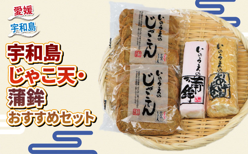 【郷土料理】手押し じゃこ天 蒲鉾 セット 井上蒲鉾本舗 練り物 名産 揚巻 じゃこてん かまぼこ 蒲鉾 おつまみ C015-003003