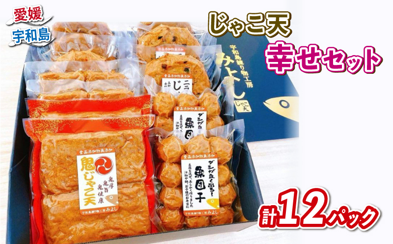 じゃこ天 幸せセット 宇和島練り物工房みよし じゃこ天 魚団子 野菜天 ニラ生姜天 すり身 練り物 惣菜 出汁 だし 酒 おつまみ 肴 魚肉 水産 加工品 特産品 郷土料理 国産 愛媛 宇和島 C022-061003