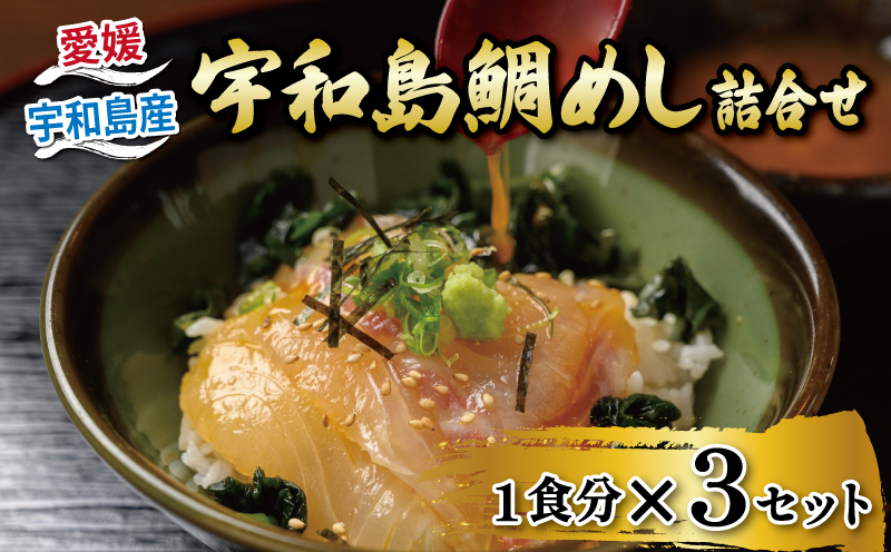 鯛めし 3食 セット 宇和島鯛めし 辻水産 家庭用 保冷バッグ 梱包 生鯛めし 真鯛 鯛 マダイ タイ tai 刺身 お刺身 刺し身 漬け丼 漬け 漬丼 丼 丼ぶり 海鮮丼 郷土料理 鯛飯 海鮮 人気 海の幸 魚介 人気加工品 冷凍 小分け パック お手軽 便利 簡単 調理 乗せるだけ 産地直送 国産 愛媛 宇和島 D010-062006