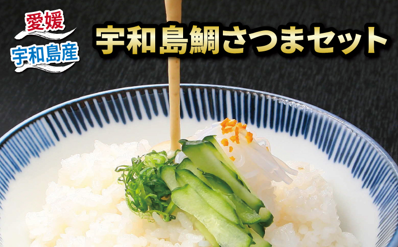 郷土料理 鯛 さつま セット 140g×4 和日輔 薬味付き 真鯛 まだい たい 味噌 丼 ごはん 発酵食品 麦味噌 味噌 みそ 加工品 魚介 海の幸 水産加工品 海鮮 冷凍 流水解凍 簡単調理 郷土料理 国産愛媛 宇和島 D010-091001