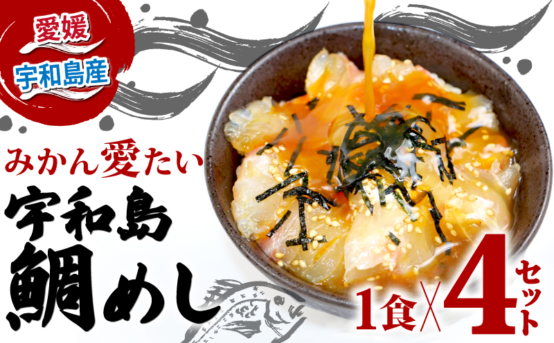 【郷土料理】鯛めし 4食 セット みかん真鯛 宇和島 南予ビージョイ たい タイ tai 魚 D010-150004