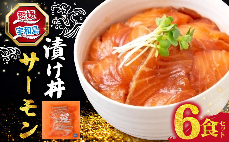 海鮮丼 サーモン 漬け丼 6食 南予ビージョイ SALMON 刺身 お刺身 刺し身 漬け 漬丼 丼 丼ぶり 海鮮 人気 海の幸 魚介 人気加工品 冷凍 小分け パック お手軽 便利 愛媛 宇和島 D010-150024