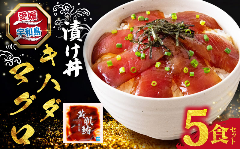 海鮮丼 鮪 漬け丼 5食 南予ビージョイ キハダ マグロ maguro 刺身 お刺身 刺し身 漬け 漬丼 丼 丼ぶり 海鮮 人気 海の幸 魚介 人気加工品 冷凍 小分け パック お手軽 便利 産地直送 国産 愛媛 宇和島 D010-150026