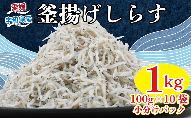 【小分けで便利！】 シラス 釜揚げしらす 100g × 10袋 計 1kg 時栄水産 冷凍 sirasu 小魚 じゃこ 干し 人気 水産 加工品 かまあげ D010-174001