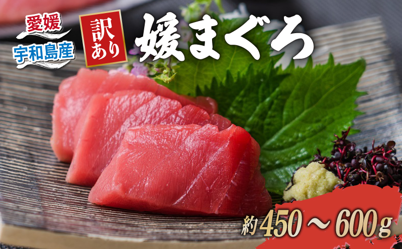 【2026年4月8日発送】訳あり 本マグロ ブロック 450～600g 媛まぐろ ダイニチ 鮪 刺身 国産マグロ 養殖マグロ 本鮪 クロマグロ マグロ 赤身 中トロ 大トロ 部位 指定不可 漬け ネギトロ アレンジ 訳アリ 訳あり品 訳有り わけあり 人気 海鮮 海の幸 魚 魚介 産地直送 数量限定 国産 愛媛 宇和島 D011-031005-260408