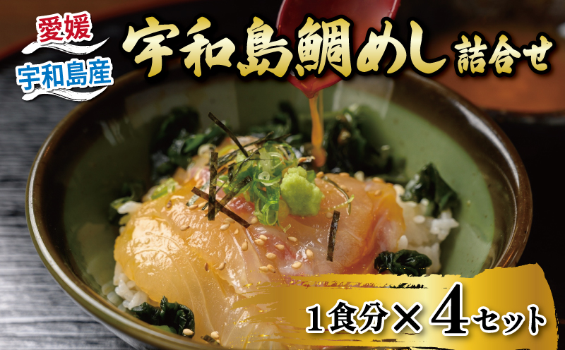 【郷土料理】 鯛めし 4食 セット 宇和島鯛めし 辻水産 真鯛 鯛 まだい たい tai 海鮮丼 漬け丼 D012-062001