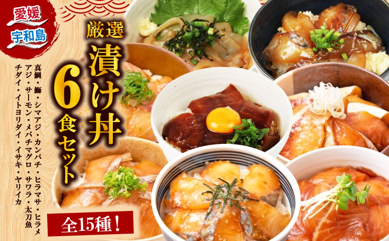 漬丼 厳選 活締め 全15種 お任せ 漬け丼 6食 セット 南予ビージョイ 真鯛 鰤 シマアジ カンパチ ヒラマサ ヒラメ アジ サーモン メバチマグロ サワラ 太刀魚 チダイ イトヨリダイ イサキ ヤリイカ 食べ比べ づけ丼 人気 加工品 新鮮 水産品 漬け 刺身 海鮮 海鮮丼 数量限定 愛媛 宇和島 D013-150019