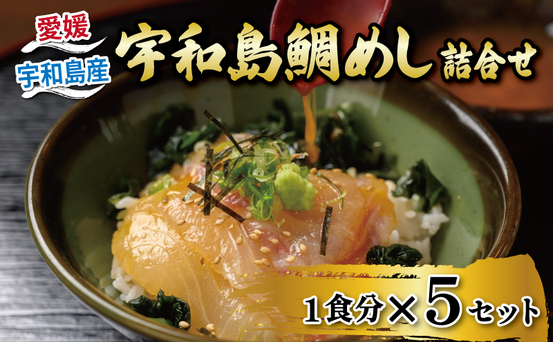 鯛めし 5食 セット 宇和島鯛めし 辻水産 家庭用 保冷バッグ 梱包 生鯛めし 真鯛 鯛 マダイ タイ tai 刺身 お刺身 刺し身 漬け丼 漬け 漬丼 丼 丼ぶり 海鮮丼 郷土料理 鯛飯 海鮮 人気 海の幸 魚介 人気加工品 冷凍 小分け パック お手軽 便利 簡単 調理 乗せるだけ 産地直送 国産 愛媛 宇和島 D014-062007