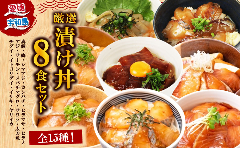 漬丼 厳選 活締め 全15種 お任せ 漬け丼 8食 セット 南予ビージョイ 真鯛 鰤 シマアジ カンパチ ヒラマサ ヒラメ アジ サーモン メバチマグロ サワラ 太刀魚 チダイ イトヨリダイ イサキ ヤリイカ 食べ比べ づけ丼 人気 加工品 新鮮 水産品 漬け 刺身 海鮮 海鮮丼 数量限定 愛媛 宇和島 D015-150020