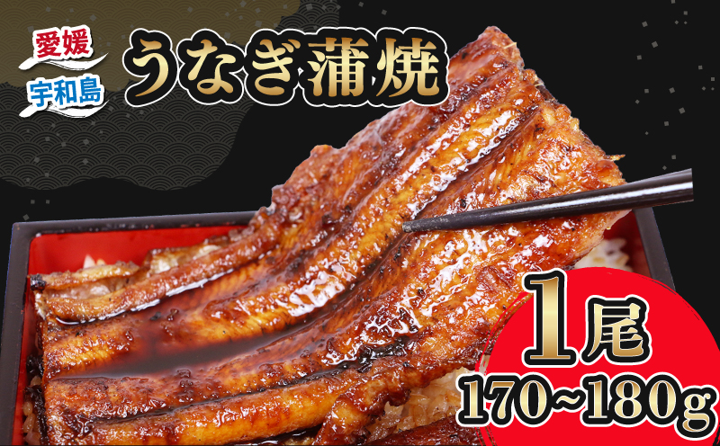 うなぎ国産 うなぎ蒲焼 170 ~ 180g 1尾 タレ付き タレ 蜂蜜 入り 河野鮮魚店 手作り 高級 鰻 うなぎ ウナギ unagi 養殖 本格 鰻蒲焼 国産鰻 国産ウナギ 頭付き 蒲焼 蒲焼き 国産うなぎ うな重 ひつまぶし 冷凍 パック 国産 愛媛 宇和島 D015-177002