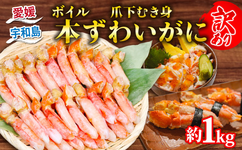 【12/15決済完了分まで年内発送】 カニ 蟹 訳あり ボイル 本ずわいがに 爪下むき身 約 1kg 本ズワイガニ ニューバーク kani 冷凍 訳アリ わけあり 訳あり品 ずわいがに カニ ズワイガニ ずわい蟹 ズワイ蟹 蟹 カニ脚 蟹脚 カニ棒肉 蟹 カニしゃぶ 人気のカニ ポーション 人気 カニ鍋 蟹鍋 鍋 愛媛 宇和島 D016-116019