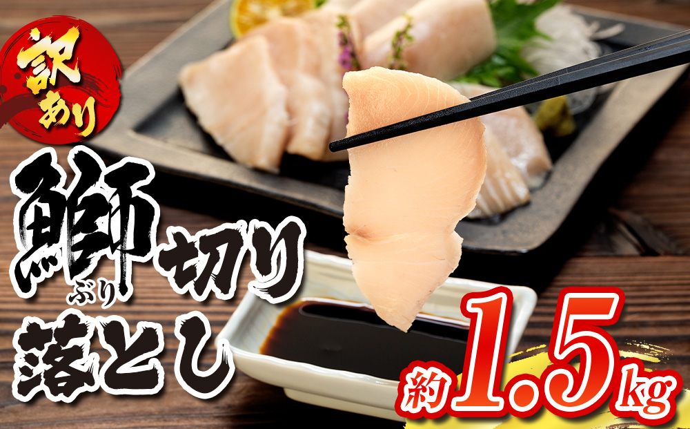 【訳あり】ブリ 鰤 ぶり 切り落とし 計約 1.5kg （ 250g × 6 パック ） 南予ビージョイ buri 魚 刺身 わけあり 人気 ふるさと納税 buri D017-150007