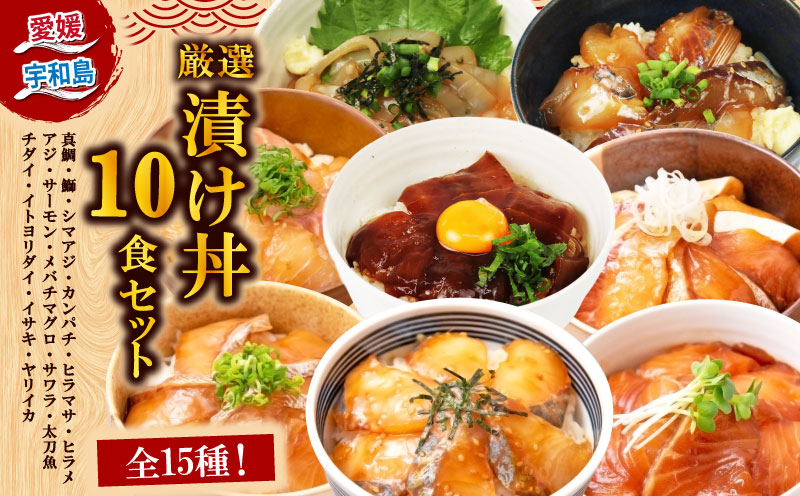 漬丼 厳選 活締め 全15種 お任せ 漬け丼 10食 セット 南予ビージョイ 真鯛 鰤 シマアジ カンパチ ヒラマサ ヒラメ アジ サーモン メバチマグロ サワラ 太刀魚 チダイ イトヨリダイ イサキ ヤリイカ 食べ比べ づけ丼 人気 加工品 新鮮 水産品 漬け 刺身 海鮮 海鮮丼 数量限定 愛媛 宇和島 D017-150021