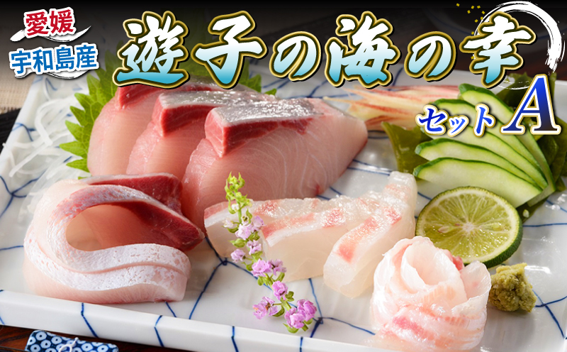 真鯛 ハマチ タイカマ 海の幸 セット A 愛媛県漁業協同組合遊子支所 遊子 鯛 タイ マダイ 出世魚 ブリ 鰤 刺身 お刺身 刺し身 お刺し身 フィーレ ブロック 加工 海の幸セット 魚 しゃぶしゃぶ たたき アレンジ 冷凍 産地直送 国産 愛媛 宇和島 D018-022001