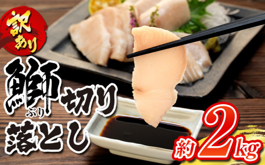 【訳あり】 ブリ 鰤 切り落とし 計約 2kg ( 250g ×8 パック ) 南予ビージョイ buri ぶり 魚 刺身 わけあり 人気 D019-150008