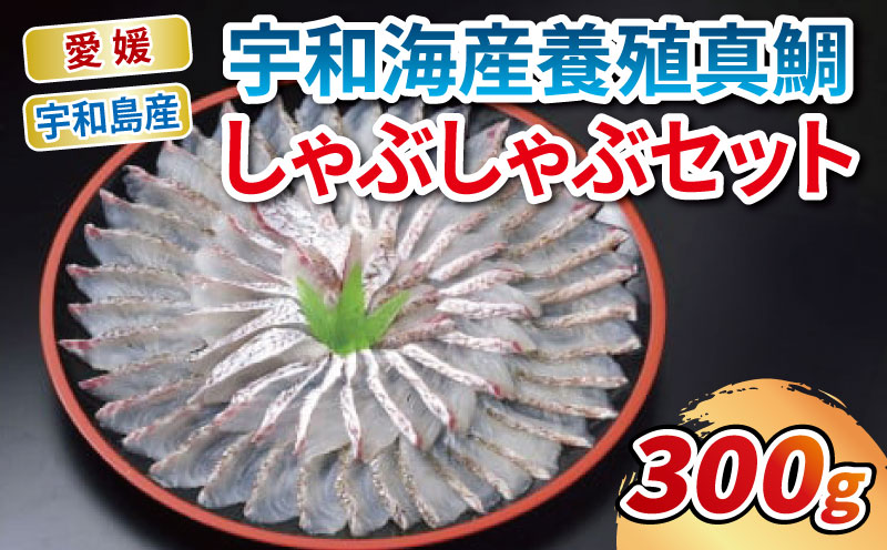 鯛しゃぶ 宇和海産 真鯛 しゃぶしゃぶ セット エビス 真鯛しゃぶしゃぶ 用 300g ポン酢 80ml 鯛 マダイ タイ 冷凍 養殖 海の幸 魚 さかな 魚介 魚貝 海鮮 鮮魚 水産 加工品 アレンジ 産地直送 国産 愛媛 愛媛県 宇和海 宇和島 D020-047002