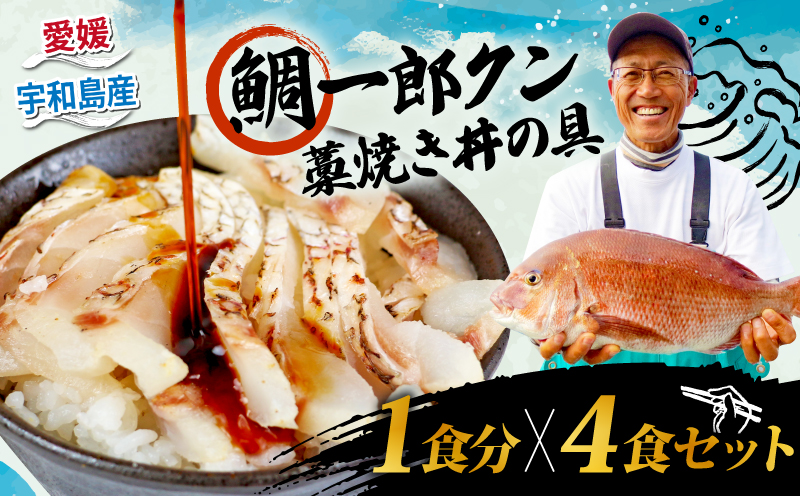 真鯛 鯛一郎クン 切身 80g4袋 たれ20g4袋 藁焼き丼の具 4食分 コバヤ 養殖真鯛 鯛 切り身 刺身 まだい たい マダイ タイ ご飯 丼 海鮮丼 漬け丼 漬丼 鯛めし 藁焼き 燻製 風 一人暮らし お手軽 簡単 便利 簡単調理 加工品 国産 愛媛 宇和島 D020-059010