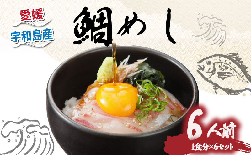 鯛めし 6食 セット 薬味 付き 有限会社 アクアプラス 生鯛めし 真鯛 鯛 マダイ タイ tai 刺身 お刺身 刺し身 丼 丼ぶり 海鮮丼 郷土料理 鯛飯 海鮮 人気 海の幸 魚介 水産 人気加工品 冷蔵 小分け パック お手軽 便利 簡単 調理 乗せるだけ ごま のり 産地直送 国産 愛媛 宇和島 D020-090004