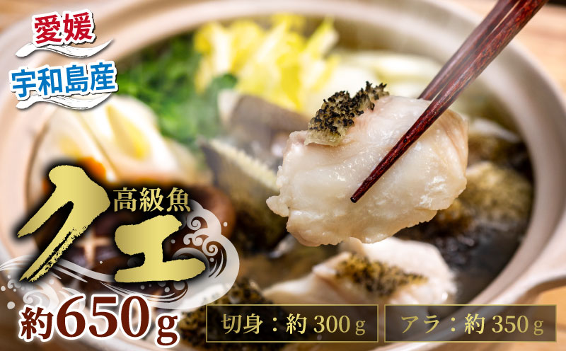 クエ 鍋用 650g ( 切り身 300g アラ350g ) クエ鍋セット 南予ビージョイ kue 産地直送 クエ鍋 超高級魚 お取り寄せ 新鮮 鍋 海鮮鍋 唐揚げ フライ 冷凍 流水解凍 鮮魚 海の幸 魚介 国産 愛媛 宇和島 D022-150013