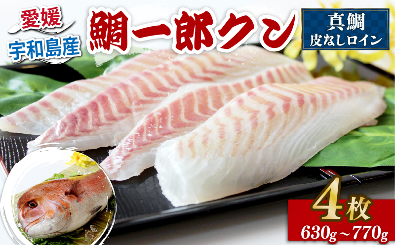 真鯛 鯛一郎クン 皮なし ロイン 4枚 株式会社タイチ 鯛 タイ たい tai マダイ まだい 養殖 刺身 お刺身 お刺し身 鯛めし 鯛茶漬け 漬け丼 丼 鯛しゃぶ しゃぶしゃぶ アレンジ 冷凍 真空パック 新鮮 産地直送 国産 愛媛 宇和島 D026-195002