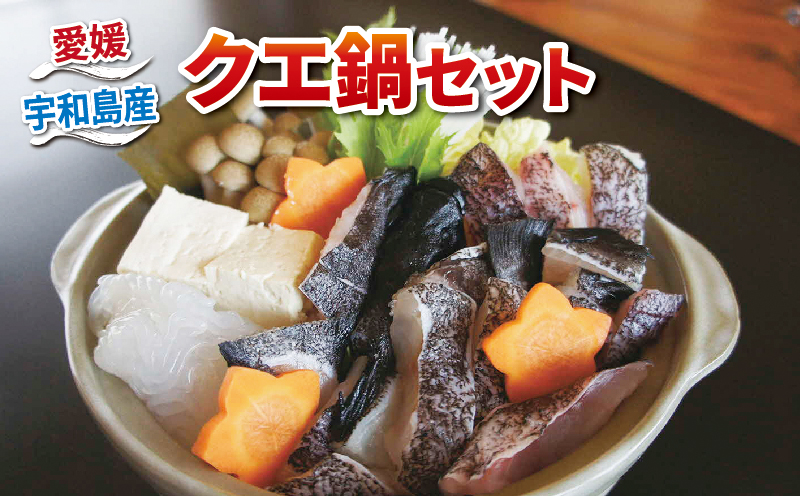 クエ鍋 宇和海産 養殖 本グエ鍋 セット エビス 本グエ 500g 身 200g あら 300g ポン酢 80ml だし 昆布 クエ 本クエ 鍋 出汁 冷凍 便利 人気 海の幸 海 魚 さかな 魚介 魚貝 海鮮 鮮魚 水産 産地直送 国産 愛媛 宇和海 宇和島 D030-047004