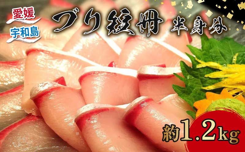 ブリ 冊 半身分 約 1.2kg 短冊 有限会社 アクアプラス ブランド魚 鰤 ブランド ぶり buri 刺身 刺し身 お刺身 お刺し身 さしみ 海鮮丼 丼 丼ぶり どんぶり カルパッチョ サラダ しゃぶしゃぶ おすすめ 産地直送 真空パック お手軽 便利 海鮮 水産 加工品 食品 冷蔵 国産 愛媛 宇和島 D030-090003