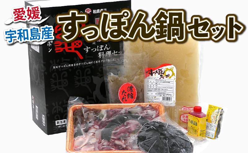 ＼10営業日以内発送／ すっぽん 料理 セット 精肉 550g 甲羅 120g たれ エンペラー からし酢みそ エンペラー 活血 スープ 水幸苑 鍋セット カット済み 鼈 切り身 本格料理 簡単調理 冷凍 濃縮 コラーゲン 美容 疲労回復 スタミナ 雑炊 産地直送 国産 愛媛 宇和島 D035-103006