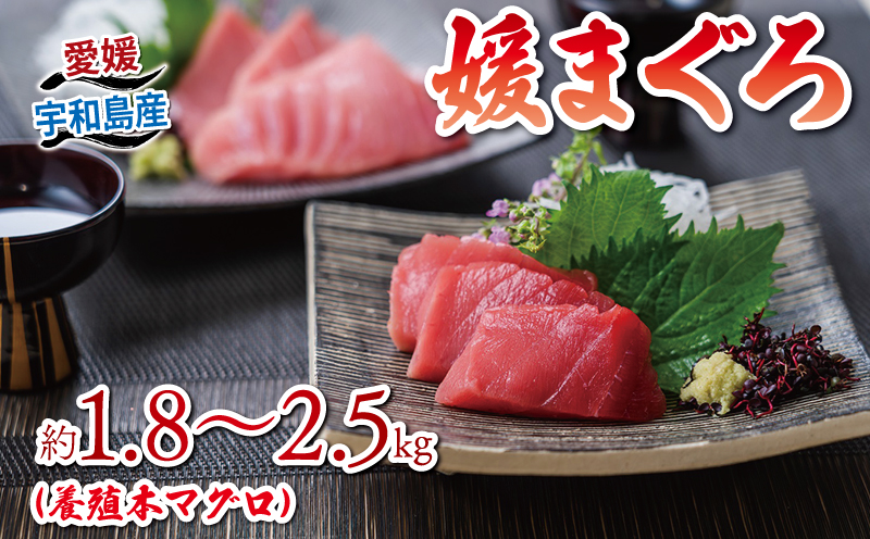 【2026年3月11日発送】本マグロ ブロック 1.8～2.5kg 媛まぐろ ダイニチ マグロ 赤身 中トロ 大トロ 部位 指定不可 マグロ 国産マグロ 養殖マグロ 養殖本マグロ クロマグロ 鮪 刺身 漬け ネギトロ アレンジ可 人気 海鮮 海の幸 魚 魚介 産地直送 数量限定 国産 愛媛 宇和島 D052-031002-260311