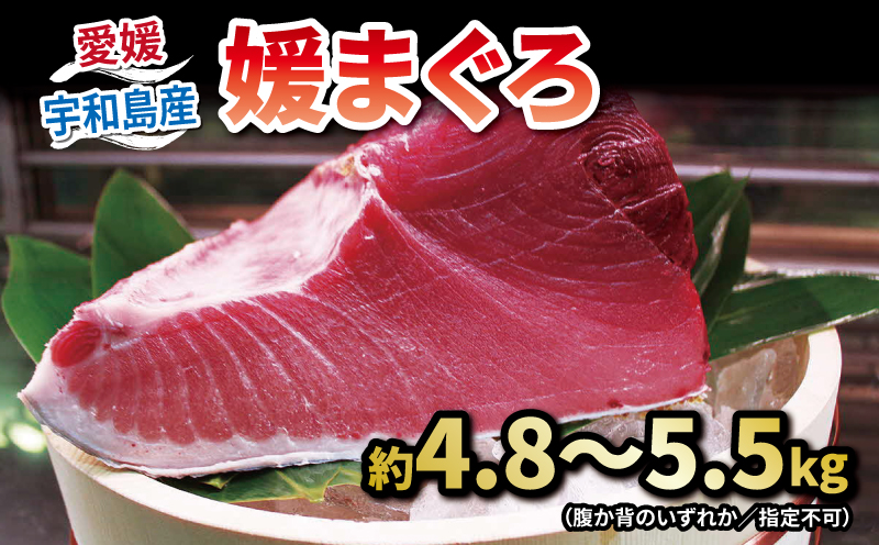 【2026年3月11日発送】本マグロ ブロック 4.8～5.5kg 媛まぐろ ダイニチ マグロ 赤身 中トロ 大トロ 部位 指定不可 マグロ 国産マグロ 養殖マグロ 養殖本マグロ クロマグロ 鮪 刺身 漬け ネギトロ アレンジ可 人気 海鮮 海の幸 魚 魚介 産地直送 数量限定 国産 愛媛 宇和島 D130-031003-260311