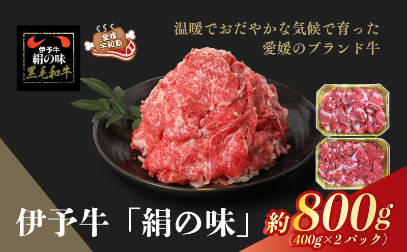 国産牛 黒毛和牛 細切れ 計800g 400g ×2パック 伊予牛 「 絹の味 」 全国農業協同組合連合会 愛媛県本部 牛 牛肉 ぎゅうにく お肉 肉 ブランド牛 高級 niku にく おにく すき焼き すきやき しゃぶしゃぶ 鍋 焼肉 牛丼 カレー アレンジ 美味しい 冷凍 特産品 国産 愛媛 宇和島 E036-193002