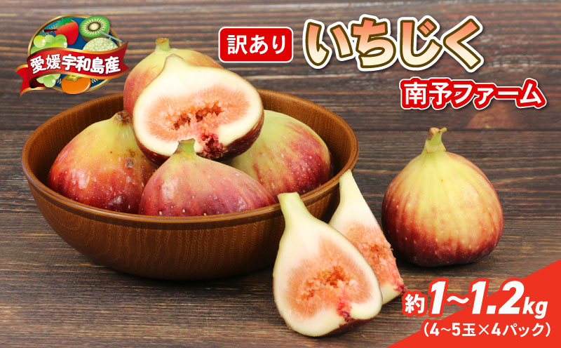 訳あり いちじく 1 ～ 1.2kg 南予ファーム 訳有り イチジク わけあり 無花果 果物 くだもの フルーツ 果実 プチプチ 食感 甘い お菓子 スイーツ 作り ジャム スムージー デザート おすすめ 美容 健康 食物繊維 冷蔵 国産 愛媛 宇和島 F010-082009