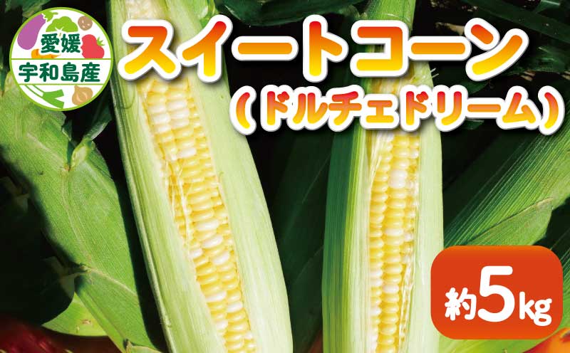とうもろこし スイートコーン ドルチェドリーム約5kg あかだ農園 朝採れ 甘い 採れたて コーン とうきび 夏野菜 旬 高糖度 甘い 野菜 やさい 数量限定 産地直送 農家直送 国産 愛媛 宇和島 F010-137002
