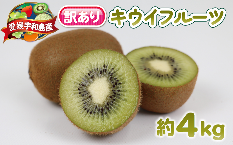訳あり キウイ フルーツ 4kg  杉本屋 わけあり グリーンキウイ ヘイワード キウイフルーツ デザート スイーツ 先行予約 果物 くだもの サイズ 不揃い 訳アリ 訳あり品 訳有り 朝食 愛媛県産 愛媛県産キウイ キウィ キウィフルーツ 産地直送 数量限定 国産 愛媛 宇和島 F010-143002