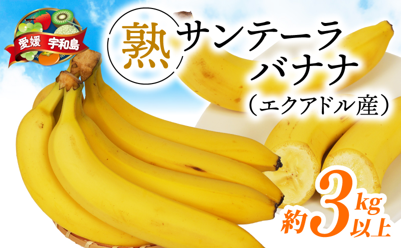 バナナ 熟サンテーラバナナ 計 約3kg ( 600g以上 × 5袋 ) 徳田青果 果物 くだもの フルーツ ばなな トロピカルフルーツ 南国フルーツ 熟成バナナ 甘い コク 香り 希少 朝食 おやつ スムージー 手軽 簡単 お取り寄せ 愛媛 宇和島 F010-194001