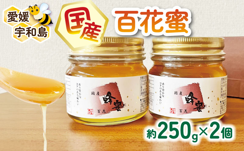 ＼10営業日以内発送／ 国産はちみつ 百花蜜 250g × 2個 セット 宇和島農産 純国産はちみつ 瓶 蜜 人気ハチミツ 国産純粋はちみつ 非加熱 はちみつ 蜂蜜 ハニー 百花蜂蜜 百花はちみつ 純粋はちみつ 生はちみつ 天然はちみつ 産地直送 国産 愛媛 宇和島 F012-132008