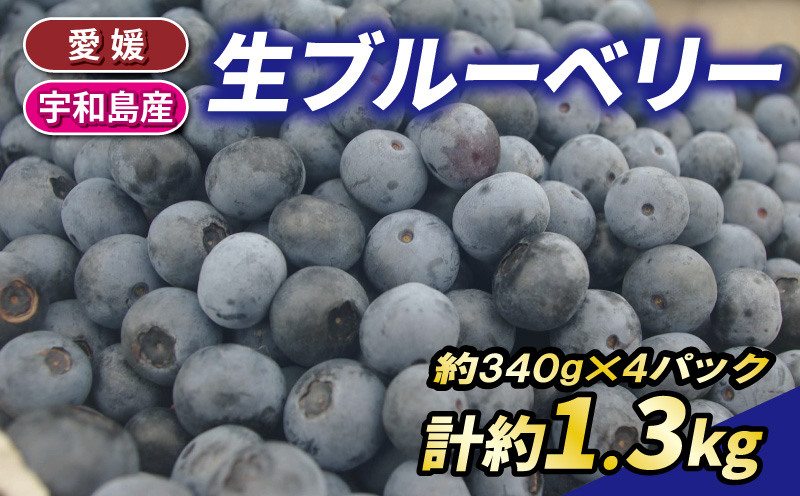 【先行予約】ブルーベリー 約1.3kg 南四国ファーム ぶるーべりー berry F013-035006