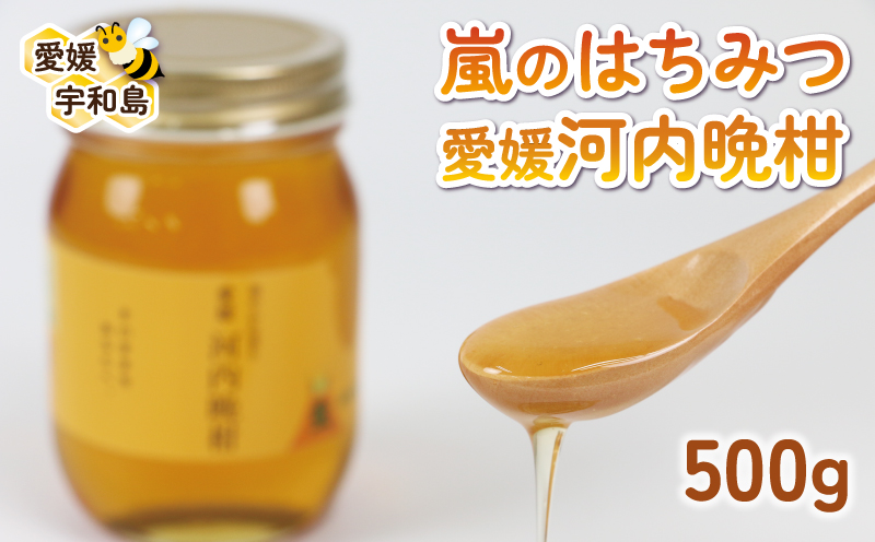 国産純粋はちみつ みかん蜂蜜 嵐 の はちみつ 天然 100％ 愛媛 河内晩柑 みつばち屋嵐 非加熱 蜂蜜 希少 国産蜂蜜 天然蜂蜜 天然はちみつ みかん蜂蜜 みかんはちみつ 蜜柑 みかん mikan ピュア ハニー パン ジャム 国産 宇和島 F015-129003