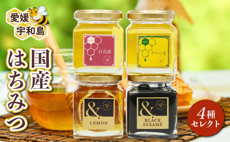 国産はちみつ 4種類 セレクト 宇和島農産 人気 セット 百花蜜 みかん蜜 ＆LEMON ＆BLACK SESAME 黒ごま レモンハニー レモン 檸檬 百花蜂蜜 百花はちみつ 純粋はちみつ 生はちみつ 天然はちみつ 天然蜂蜜 蜂蜜 はちみつ ハチミツ ハニー 食べ比べ ギフト プレゼント 贈答用 産地直送 国産 愛媛 宇和島 F016-132004