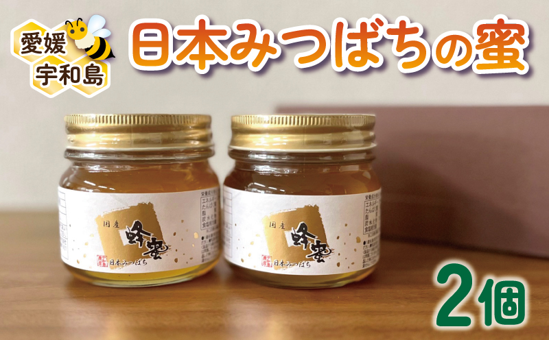 【国産はちみつ】 日本みつばち の 蜂蜜 250g × 2個 セット honey 非加熱 ハチミツ 宇和島農産 F020-132002