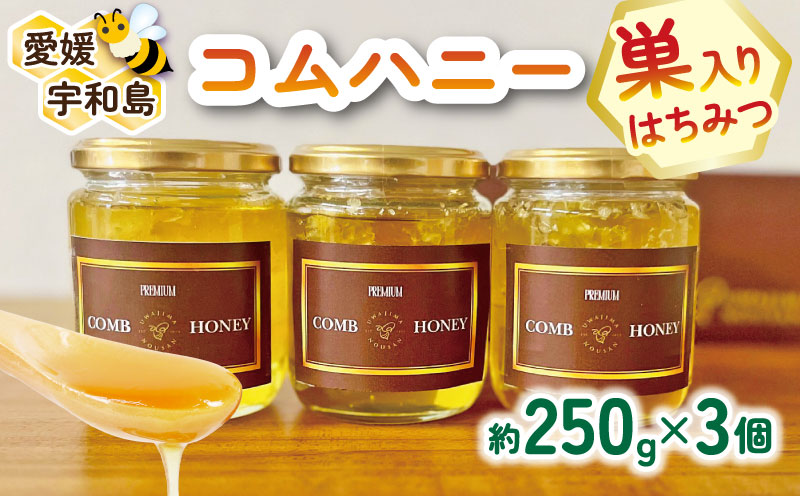 巣蜜 コムハニー 250g × 3個 セット 宇和島農産 ハチミツ 蜜 百花蜜 巣みつ 巣ミツ 人気ハチミツ 非加熱 はちみつ 蜂蜜 ハニー 百花蜂蜜 百花はちみつ 純粋はちみつ 生はちみつ 天然はちみつ 産地直送 愛媛 宇和島 F025-132013