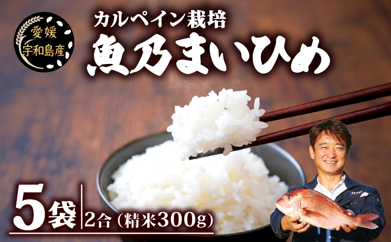 コシヒカリ 魚乃まいひめ カルペイン栽培 計 1升 2合 × 5袋 精米 秀長水産 お米 米 環境保全 カルペイン 鯛 真鯛 魚肥 使用 こめ コメ kome 小分け お弁当 弁当 おにぎり ふっくら ツヤツヤ 美味しい 甘い 備蓄 防災 産地直送 数量限定 国産 愛媛 宇和島 G015-016006