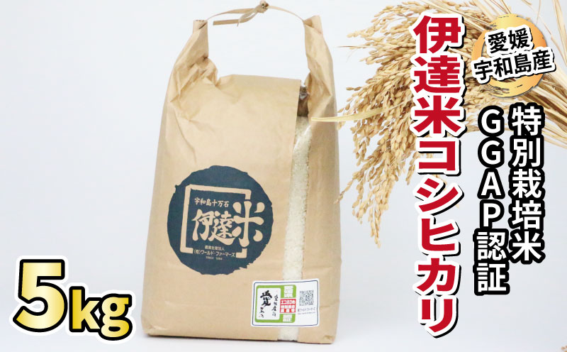 新米 特別栽培 コシヒカリ 5kg 令和7年度産 先行予約 伊達米 グローバルGAP取得 ワールドファーマーズ お米 米 ごはん ブランド米 特別栽培米 美味しい お弁当 弁当 おにぎり ふっくら ツヤツヤ 甘い 農家直送 産地直送 数量限定 国産 愛媛 宇和島 G015-024011