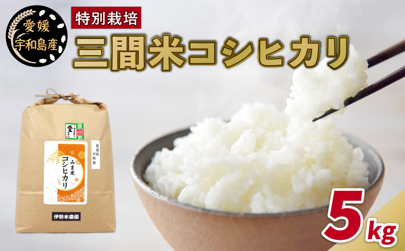 特別栽培米 新米 三間米 コシヒカリ 5kg 伊勢本農園 特別栽培 米 お米 おこめ ごはん こめ コメ ※ kome 白米 精米 お弁当 ブランド米 ふっくら ツヤツヤ 甘い 粘り 美味しい ライス 農家直送 産地直送 数量限定 国産 愛媛 宇和島 G015-146001