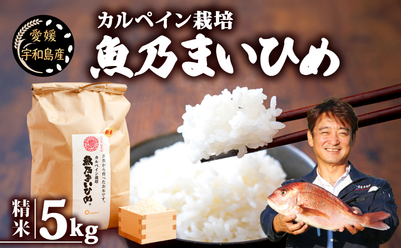 令和7年産 新米予約 コシヒカリ 魚乃まいひめ カルペイン栽培 5kg 精米 秀長水産 新米 令和7年9月中旬以降発送 三間米 お米 米 環境保全 カルペイン 鯛 真鯛 魚肥 使用 こめ コメ kome 小分け お弁当 弁当 おにぎり ふっくら ツヤツヤ 美味しい 甘い 備蓄 防災 産地直送 数量限定 国産 愛媛 宇和島 G018-016007