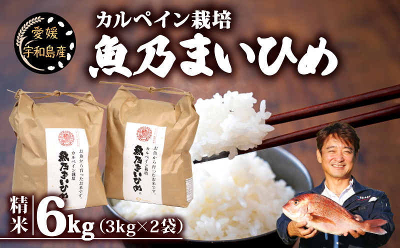 令和7年産 新米予約 コシヒカリ 魚乃まいひめ カルペイン栽培 6kg (3kg×2袋) 精米 秀長水産 新米 令和7年9月中旬以降発送 三間米 お米 米 環境保全 カルペイン 鯛 真鯛 こめ コメ kome 小分け お弁当 弁当 ツヤツヤ 美味しい 産地直送 数量限定 国産 愛媛 宇和島 G022-016010