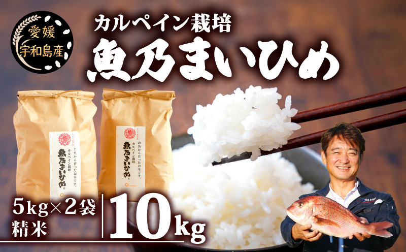 令和7年産 新米予約 コシヒカリ 魚乃まいひめ カルペイン栽培 計10kg 5kg × 2袋 精米 秀長水産 新米 令和7年9月中旬以降発送 三間米 お米 米 環境保全 カルペイン 鯛 真鯛 魚肥 使用 こめ コメ kome 小分け お弁当 弁当 おにぎり ふっくら ツヤツヤ 美味しい 甘い 備蓄 防災 産地直送 数量限定 国産 愛媛 宇和島 G035-016008