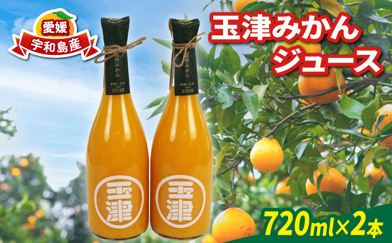 玉津 みかんジュース 温州みかん 720ml× 2本 玉津柑橘倶楽部 先行予約 100％ジュース ストレートジュース ジュース 愛媛みかん 愛媛蜜柑 愛媛ミカン うんしゅう みかん mikan 果物 フルーツ 柑橘 濃厚 甘い 甘味 蜜柑 産地直送 数量限定 国産 愛媛 宇和島 H010-072049
